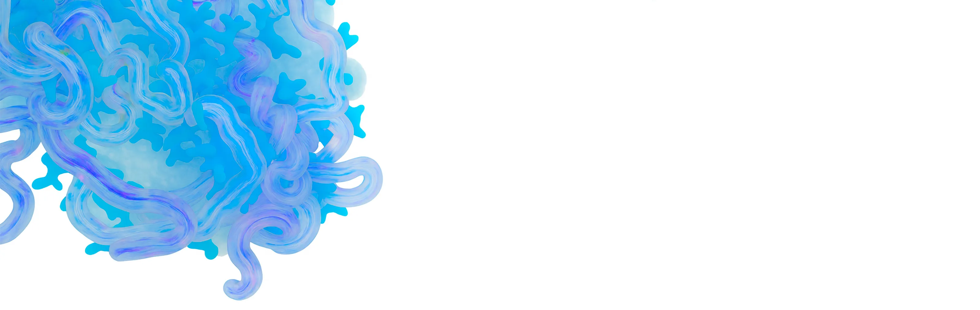 Imágen Banner